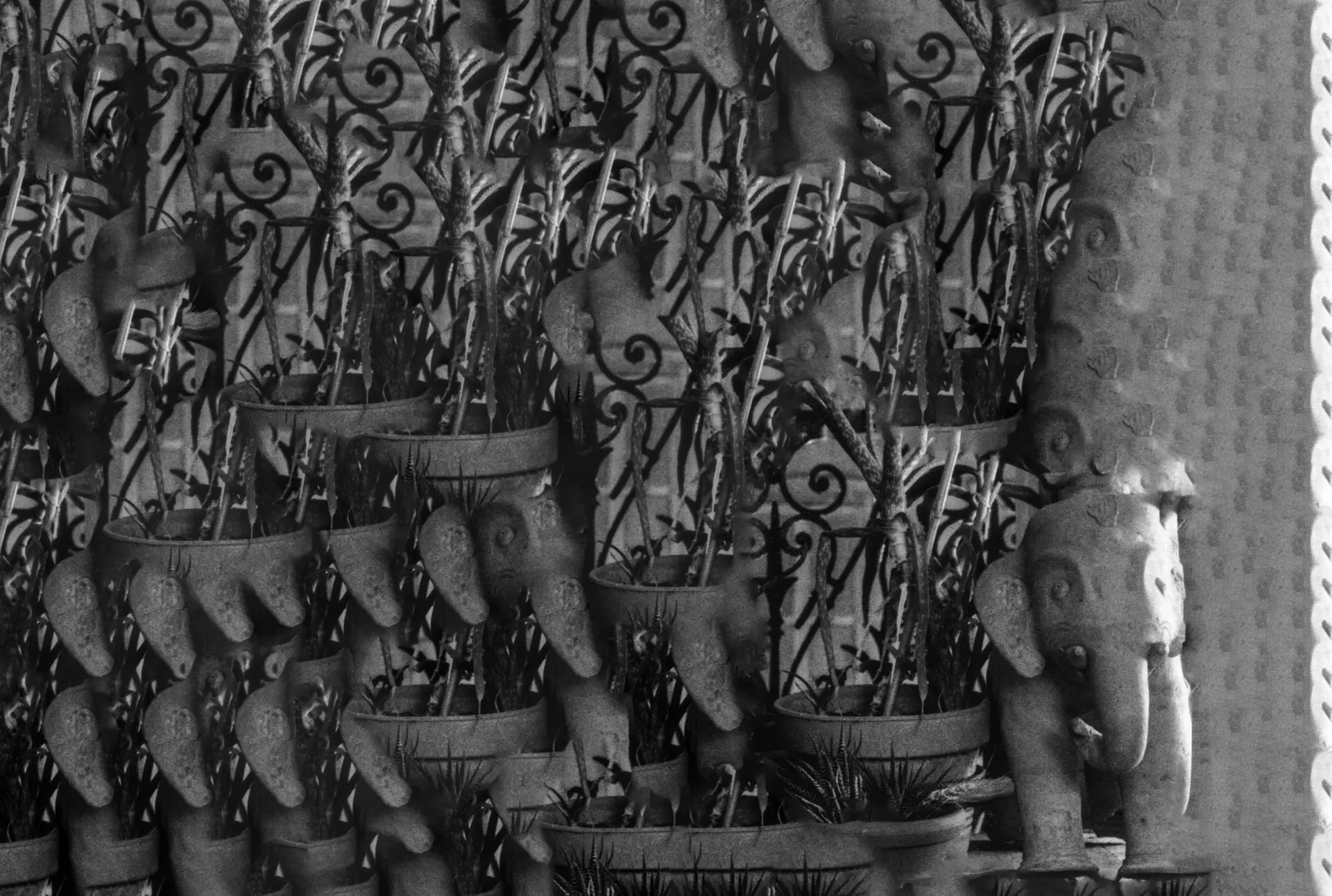 L’image présente une scène d’intérieur avec une variété de plantes en pots de tailles et de formes différentes sur un rebord de fenêtre. À droite, on peut voir une petite statue d’éléphant. La fenêtre derrière est munie de barreaux en fer, et à l’extérieur, un autre bâtiment est visible. La composition crée un contraste entre les formes organiques des plantes et les motifs géométriques des barreaux de la fenêtre.