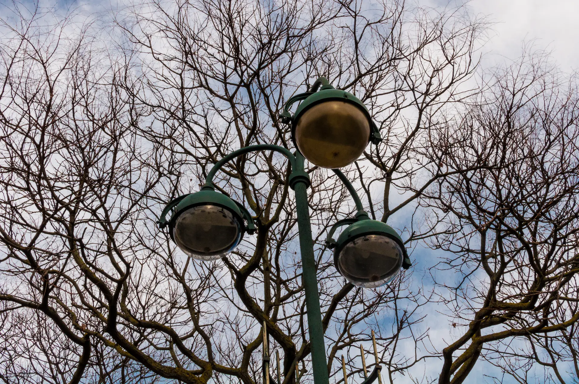 Réverbères, arbres. Journal du dimanche 21 février 2021.