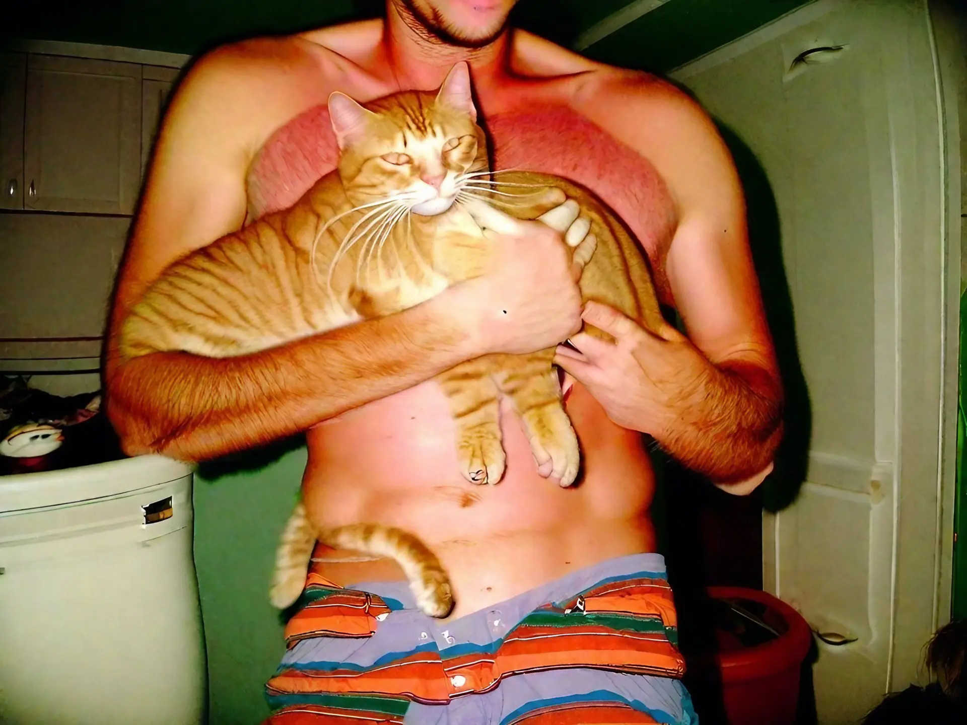 Un chat roux dans les bras d'une personne en caleçon ? Archive du mercredi 22 novembre 2006 ?
