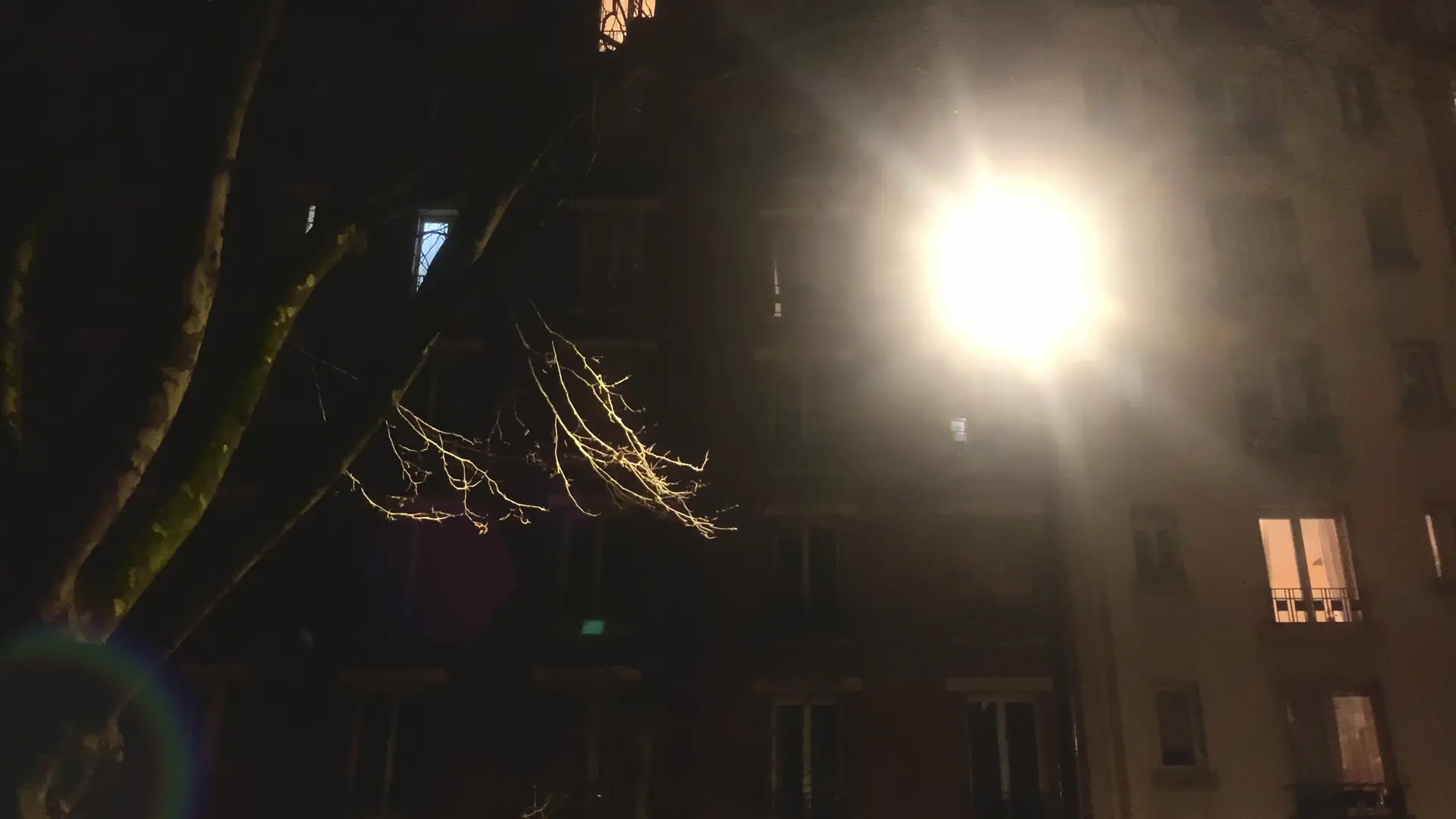 Réverbère, arbre, immeubles. Villa Gagliardini, Paris 20e.
